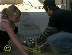 Dishdogz screencaps