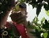 Dishdogz screencaps