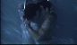 Starcrossed