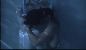Starcrossed